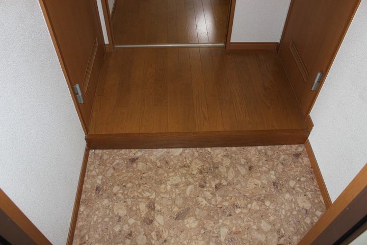 大阪府大阪市平野区喜連東5(マンション)の賃貸物件の玄関