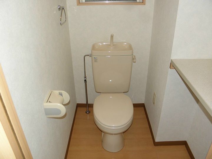 神奈川県藤沢市大庭(マンション)の賃貸物件の内装
