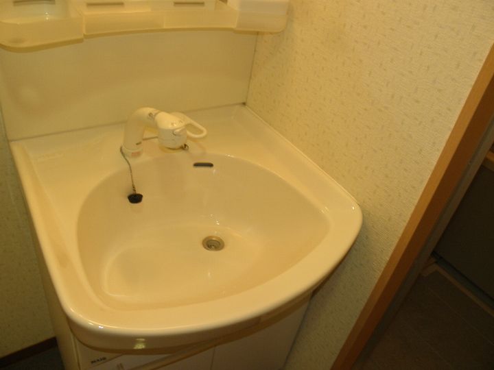 神奈川県藤沢市大庭(マンション)の賃貸物件の内装