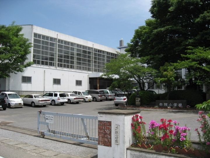 ストリーム Aの周辺