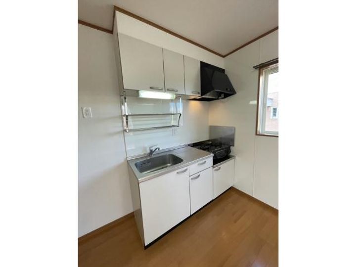 徳島県板野郡藍住町徳命字中ノ丁(一戸建)の賃貸物件のキッチン