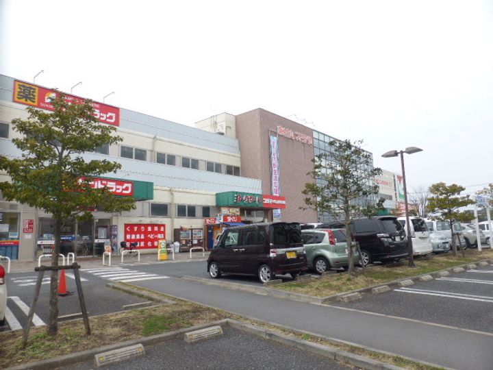 野崎ハイムの周辺