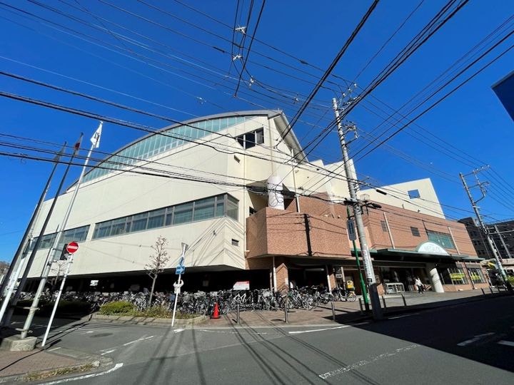 リーヴェルステージ綱島Rioの周辺