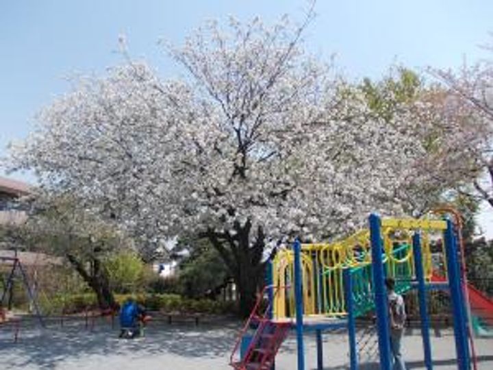 東京都大田区上池台3(一戸建)の賃貸物件の周辺