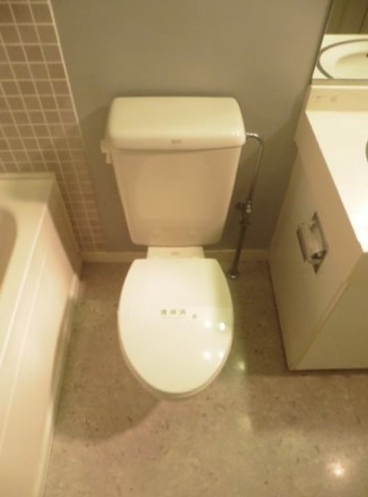 東京都港区三田1(マンション)の賃貸物件の内装