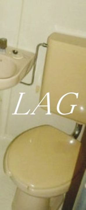 矢口第1ハイツの内装