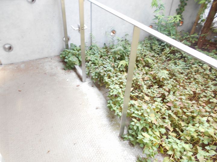 東京都世田谷区砧4(マンション)の賃貸物件の内装