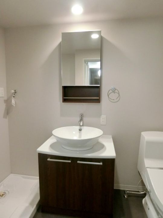 大阪府大阪市平野区長吉長原3(アパート)の賃貸物件の内装