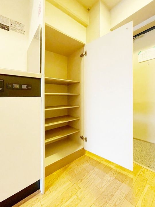 東京都調布市国領町2(マンション)の賃貸物件の玄関