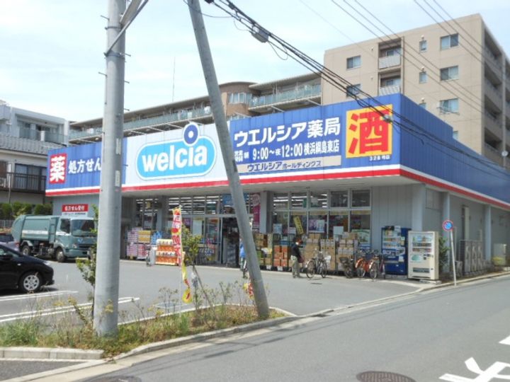 綱島グレイスの周辺