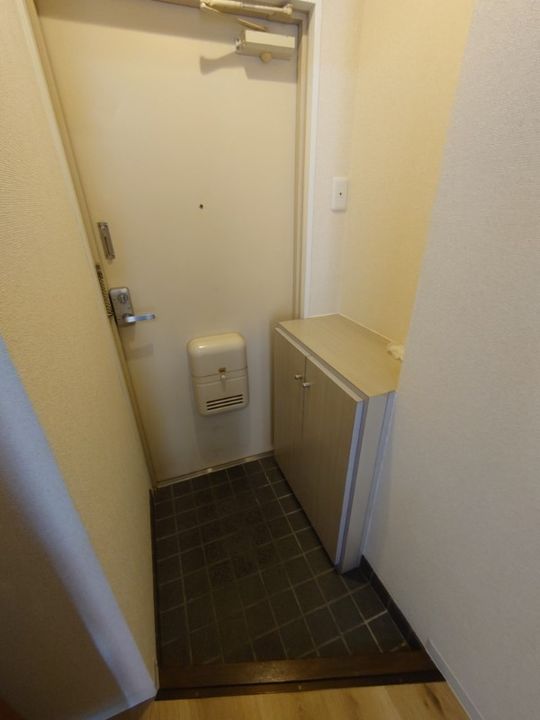 静岡県浜松市中央区元浜町(マンション)の賃貸物件の玄関