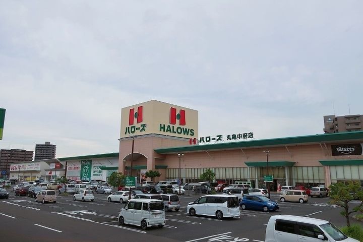香川県丸亀市津森町(アパート)の賃貸物件の周辺
