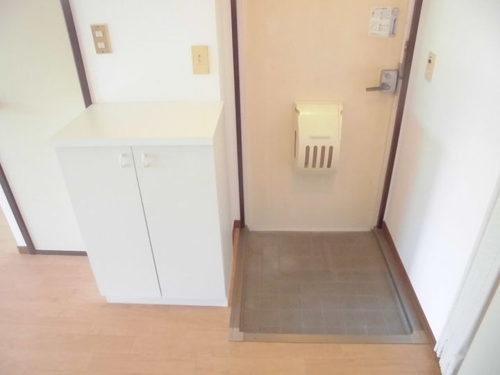 グリーンハイツAの玄関