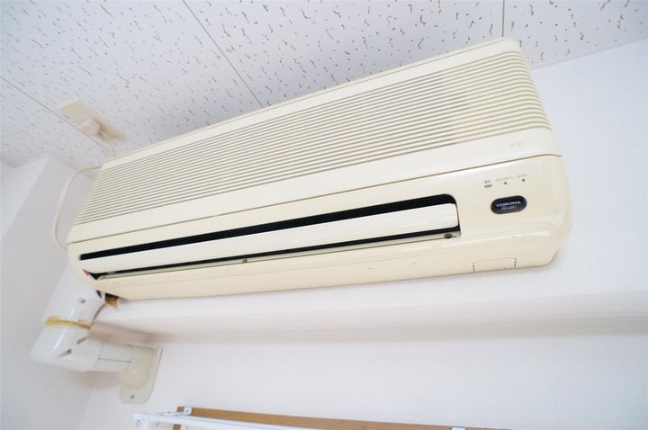 エクセルマツヤのその他画像