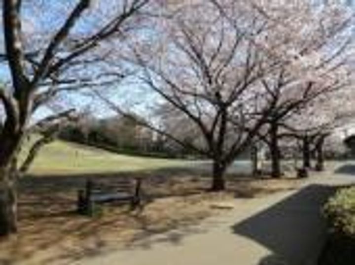 遠藤ビルの周辺