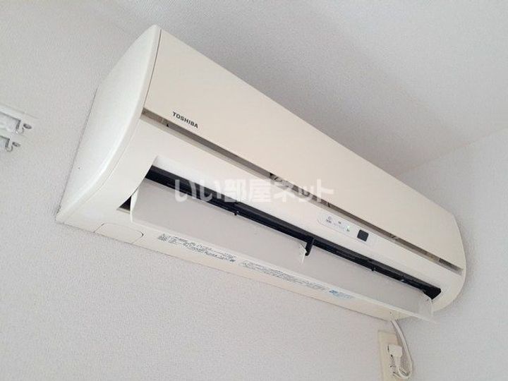 ヴィオラのその他画像