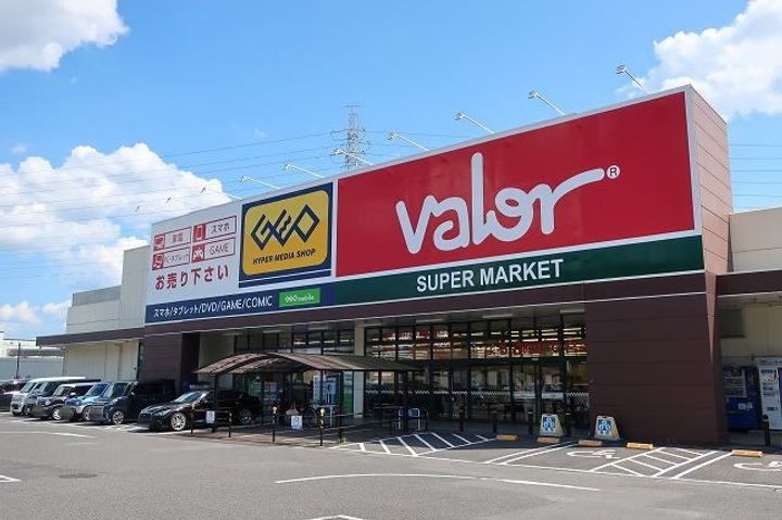 ヴィオラの周辺