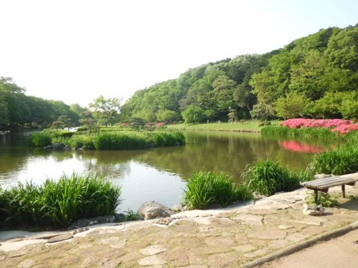 千葉県市川市中国分4(一戸建)の賃貸物件の周辺