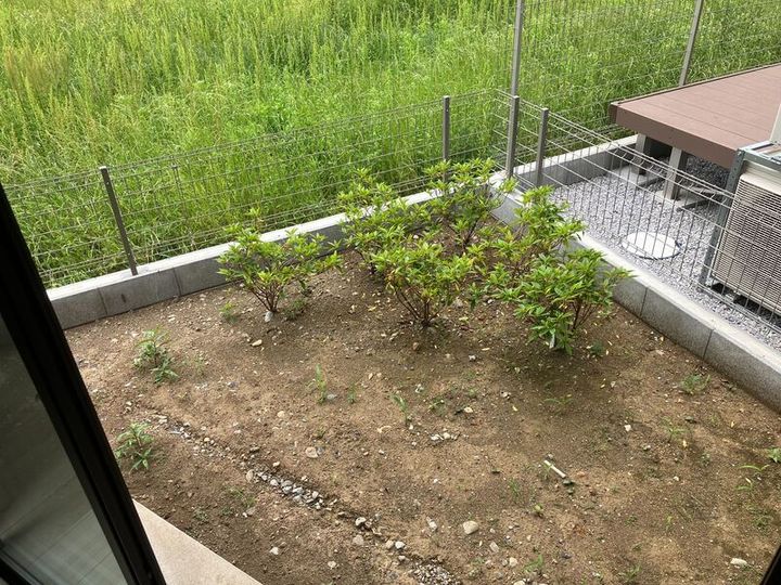 東京都府中市四谷4(一戸建)の賃貸物件の内装