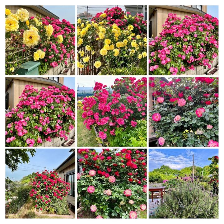 千葉県松戸市高塚新田(一戸建)の賃貸物件の内装