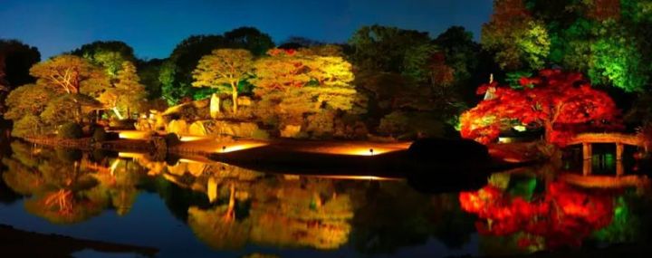 東京都文京区千石1(マンション)の賃貸物件の周辺