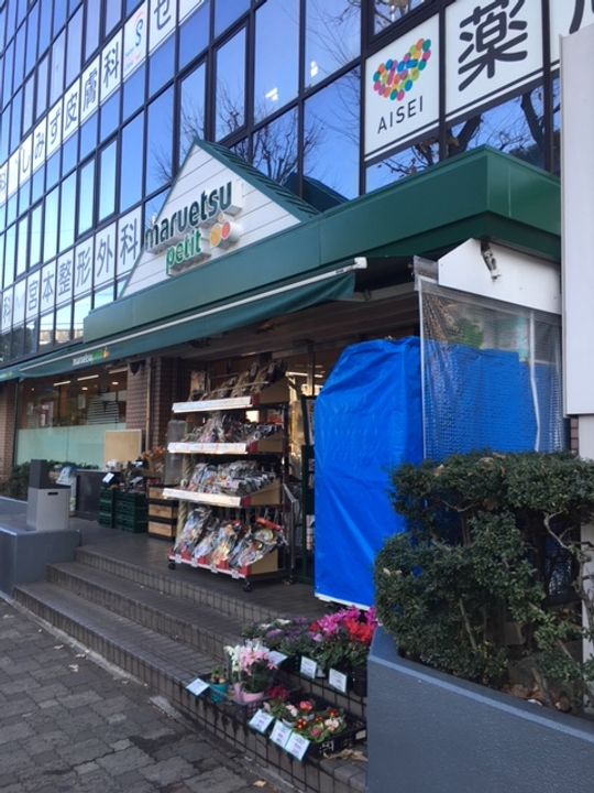 Jタワー西大井の周辺