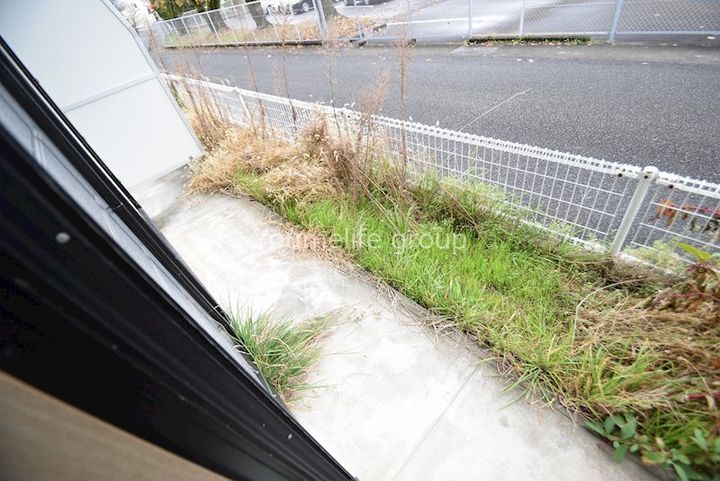 神奈川県足柄上郡大井町金手(アパート)の賃貸物件の内装