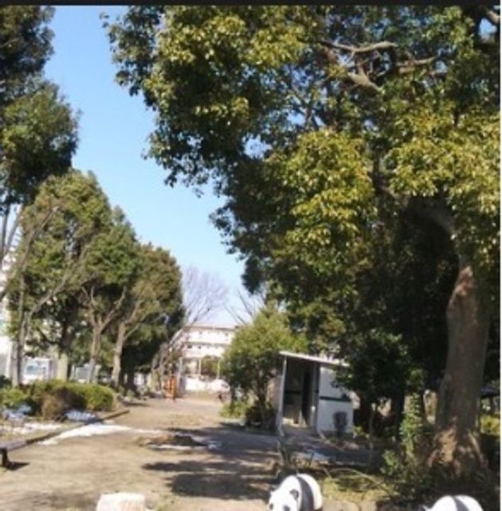 東京都足立区江北1(マンション)の賃貸物件の周辺