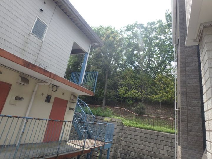 コリーヌ・Mのその他画像