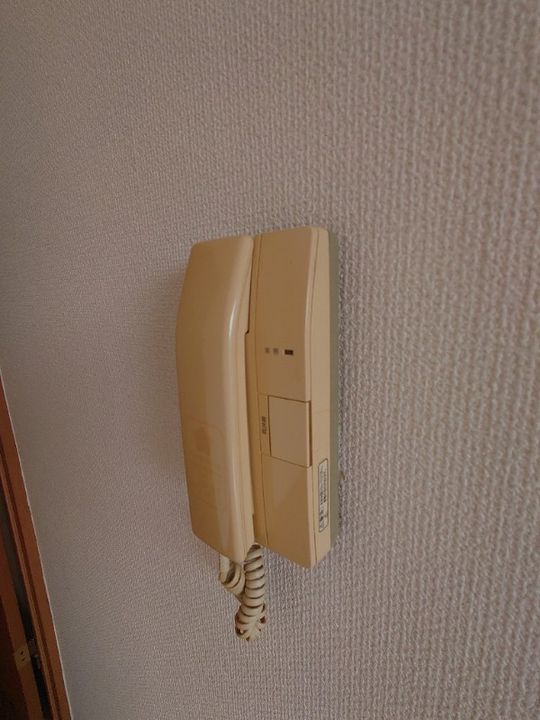 静岡県浜松市中央区元目町(マンション)の賃貸物件の内装