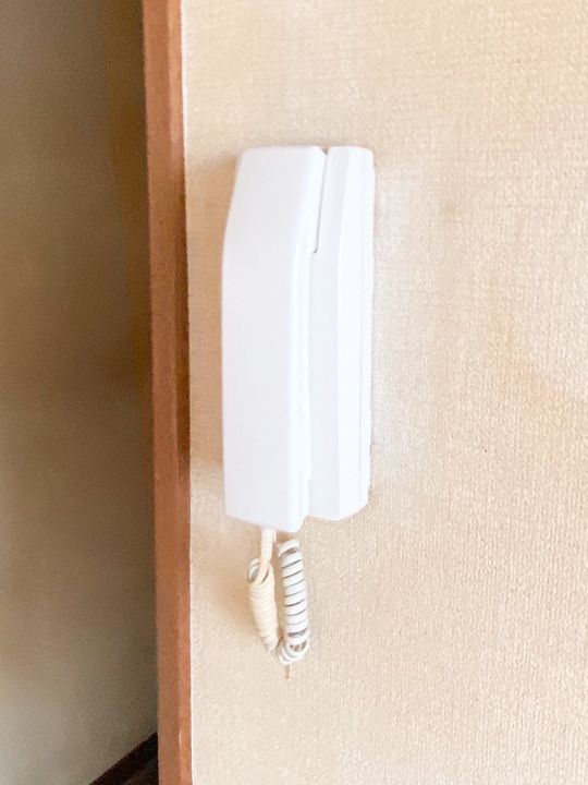 神奈川県川崎市中原区新城(マンション)の賃貸物件の内装