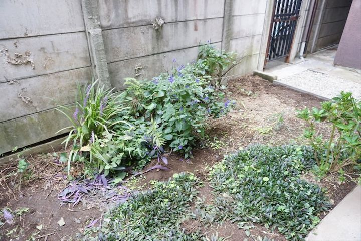 東京都世田谷区南烏山6(アパート)の賃貸物件の内装