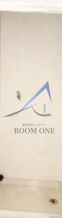 ヴァンハウス川崎京町サングレイスの内装