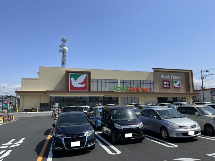 福島県郡山市並木5(一戸建)の賃貸物件の周辺