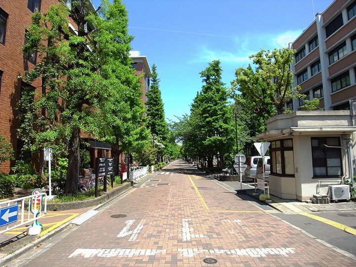 北白川ベリタスの周辺