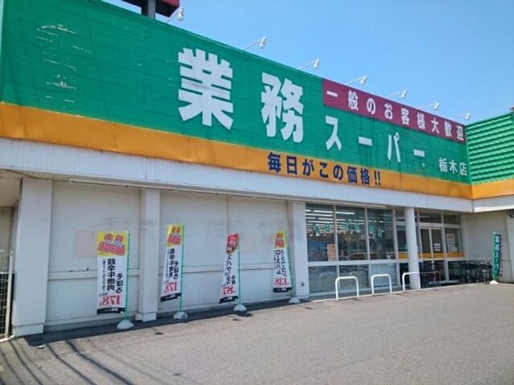 栃木県栃木市大宮町(アパート)の賃貸物件の周辺