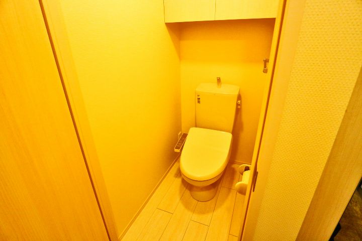 埼玉県越谷市レイクタウン9(アパート)の賃貸物件の内装