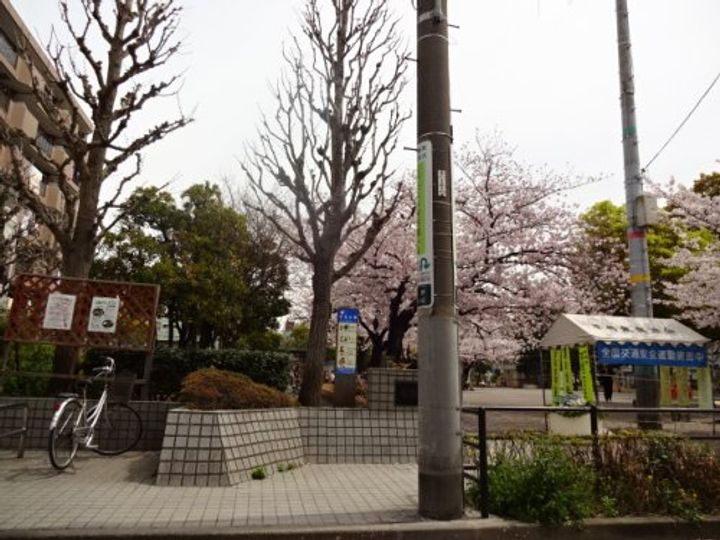 カーム・ホームの周辺