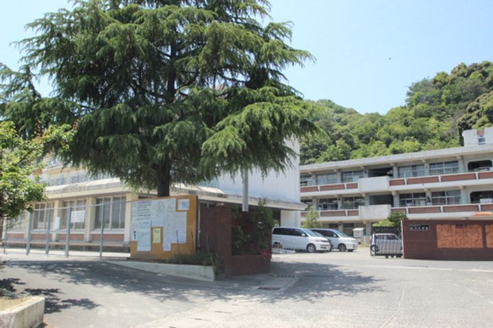 ティニーMatsuyamaの周辺