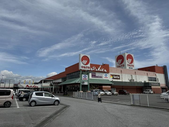 高知県香南市野市町西野(マンション)の賃貸物件の周辺