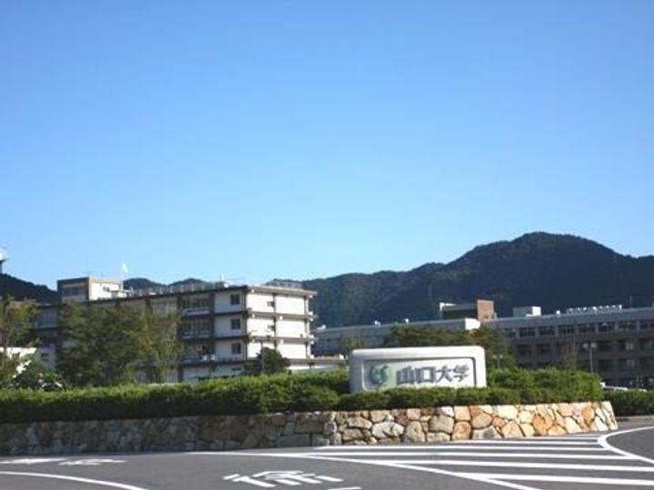 ウェルフィールドの周辺