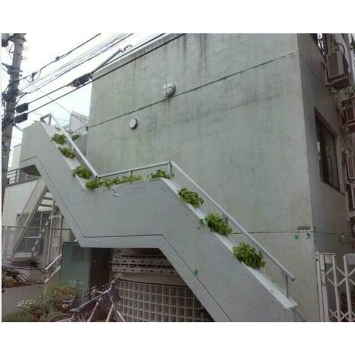 東京都新宿区上落合1(マンション)の賃貸物件の外観