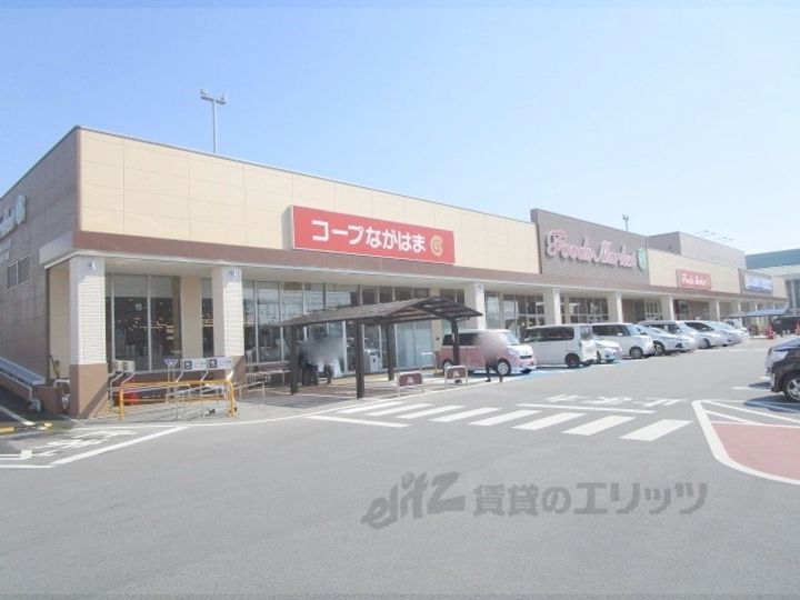 ユキ・シンクラの周辺