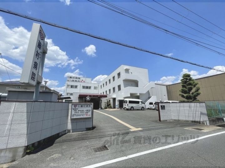 プリムローズの周辺