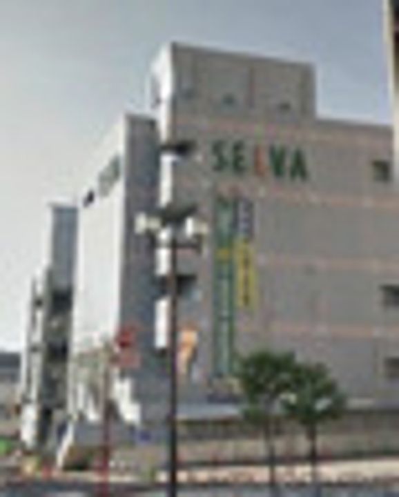 Hau oliの周辺