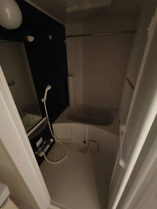 サザンクロス(愛甲東2)【0】の風呂