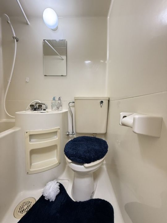 東京都多摩市南野3(マンション)の賃貸物件の内装