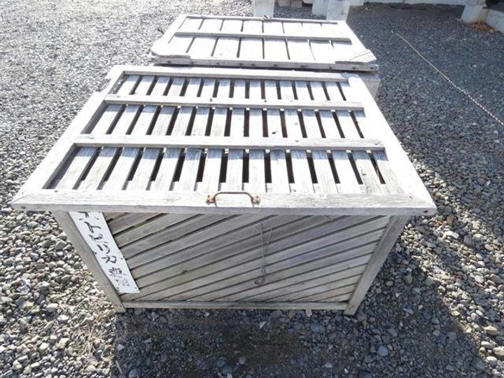 マンションエトピリカの地図