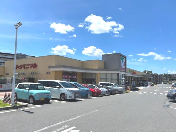 ボックスツリーハウス5の周辺