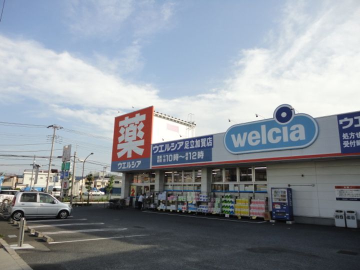 エクセル平柳の周辺